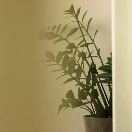 Sea And Castle Panoramic View 公寓