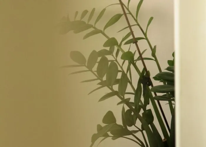 Sea And Castle Panoramic View Apartamento